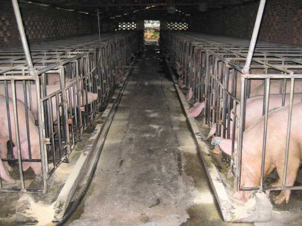 飼料配比應用電容式接近開關